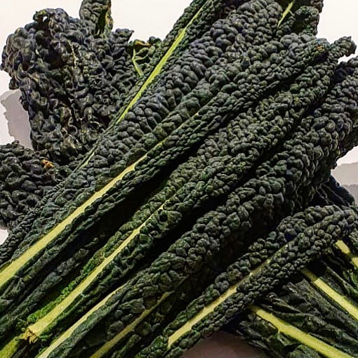 Cavolo Nero (1 bag)