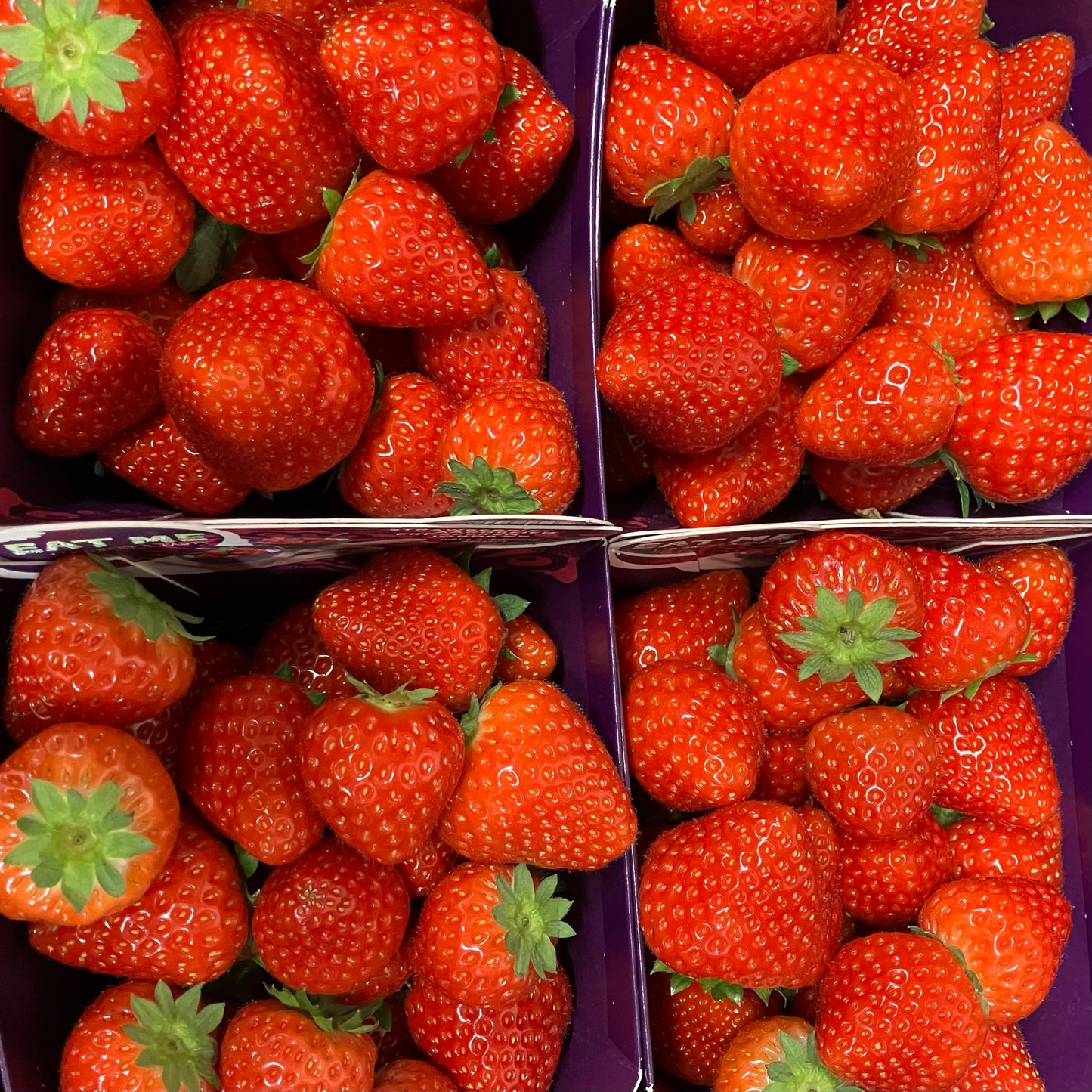 English Strawberries (454g)
