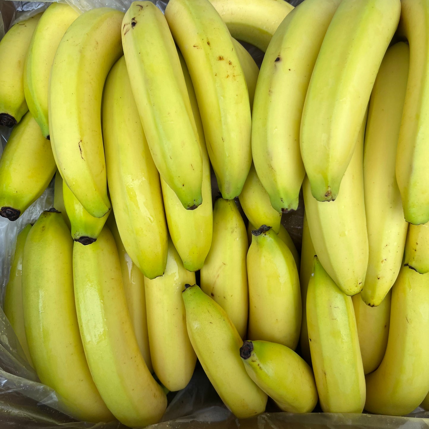 Bananas