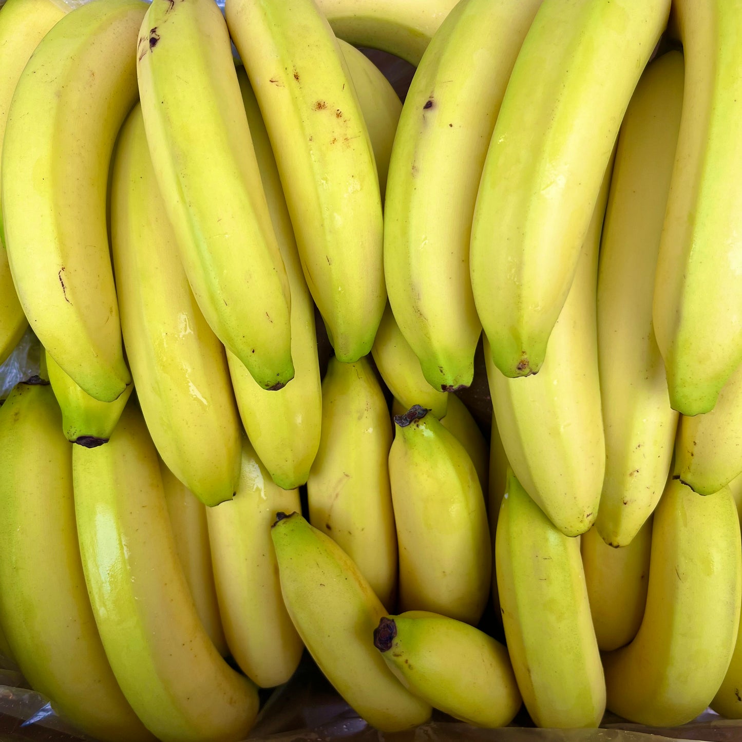 Bananas
