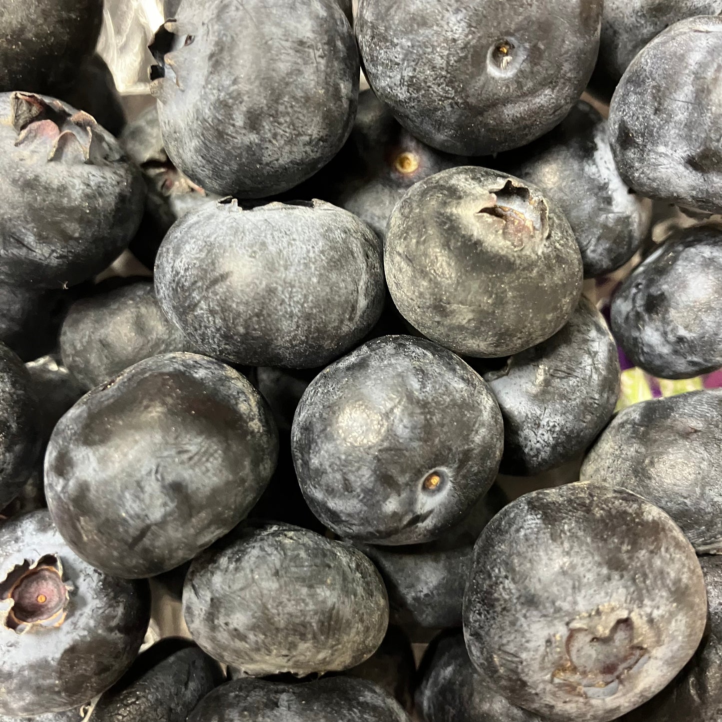 Blueberries (125g)