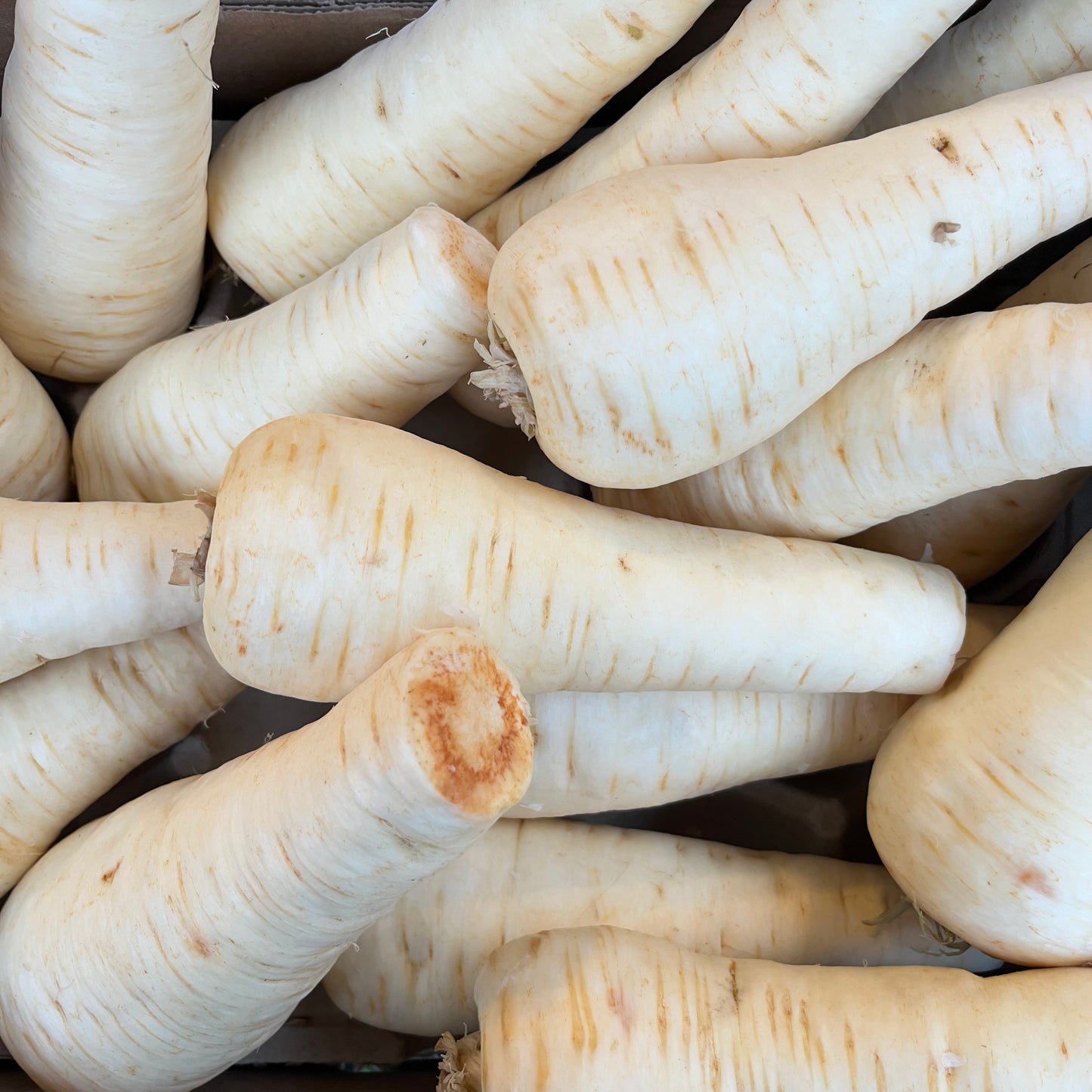 Parsnips