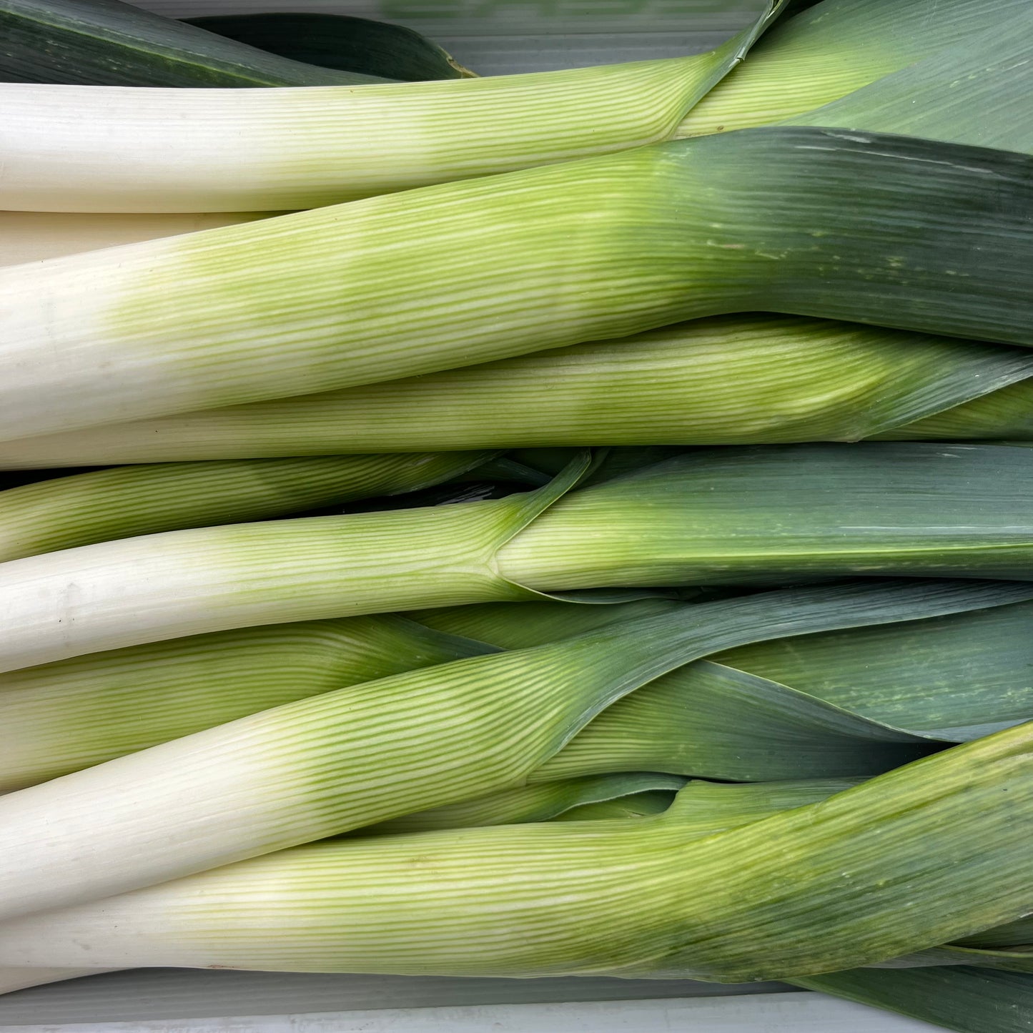 Leeks
