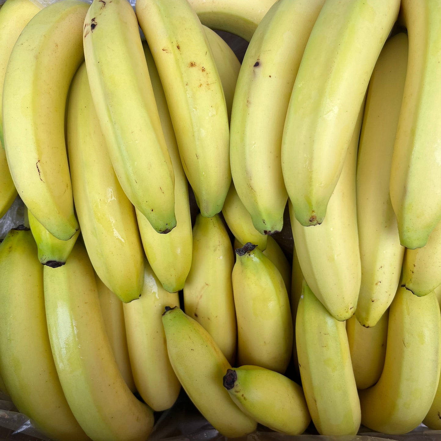 Bananas