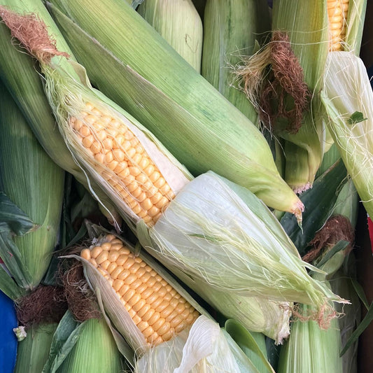 Sweetcorn (2 pieces)