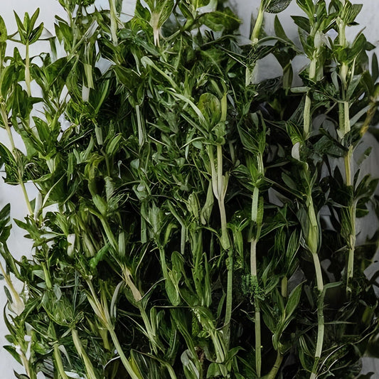 Thyme (Bunch)