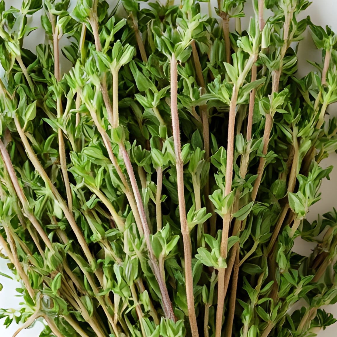 Thyme (Bunch)